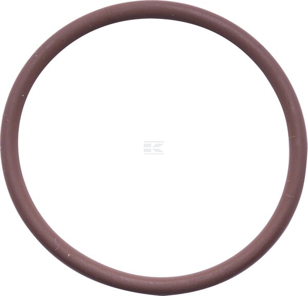 O-Ring