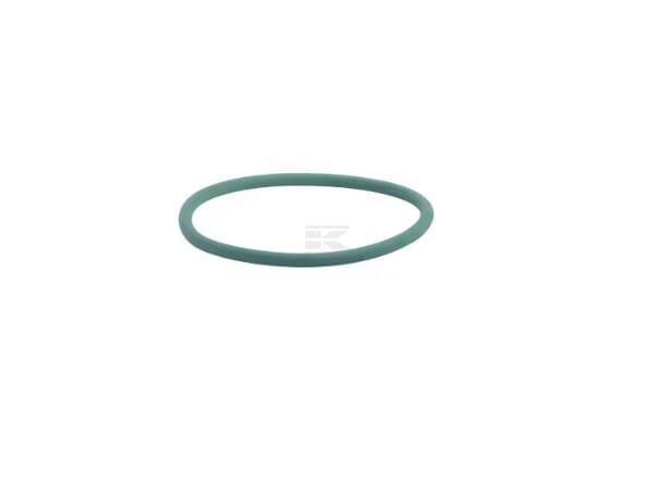 O-Ring Wasserpumpe