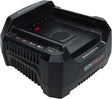 Batterieladegerät 220v Briggs & Stratton
