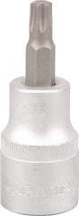 Schraubendrehereinsatze 1/2" Torx TX 40