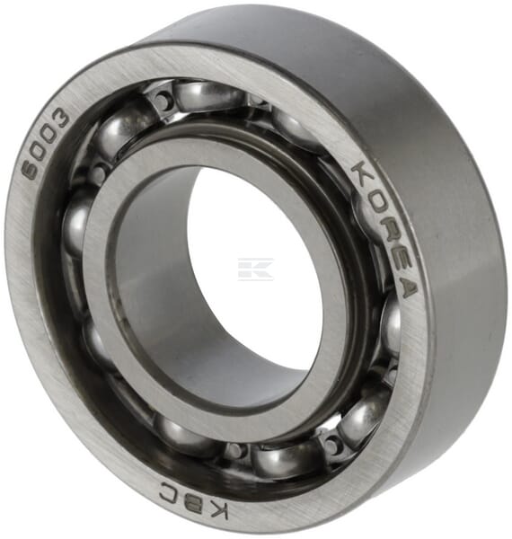 Lager 6003 C3