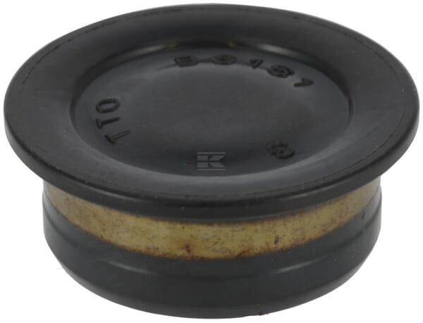 Stecker 21