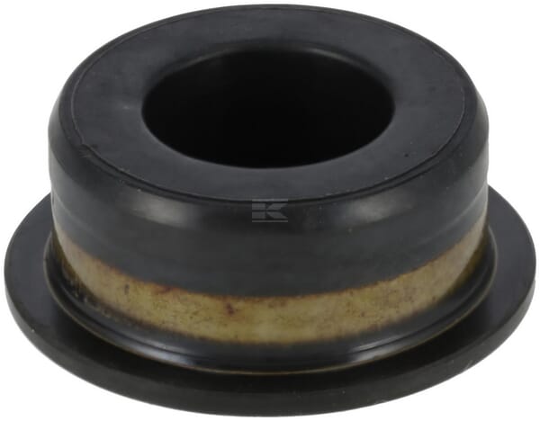 Stecker 21