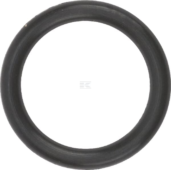 O-Ring 6.1