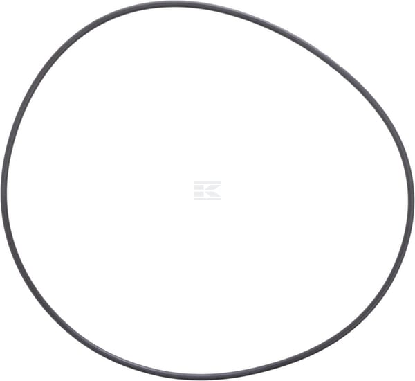 Dichtring