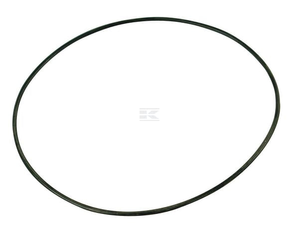 O-Ring