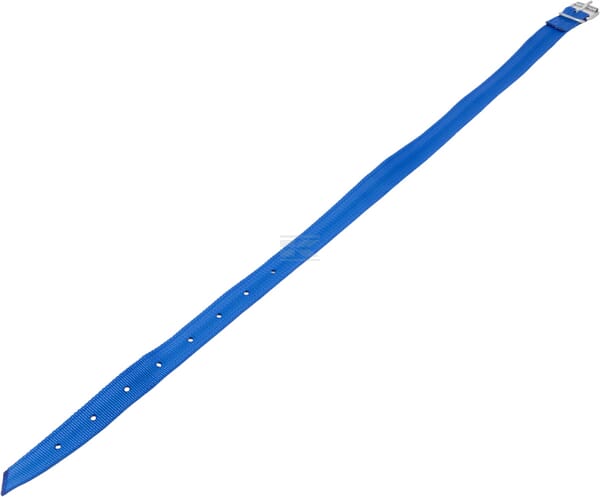 Markierungs-Halsband 120 x 4 cm, blau, mit Rollschnalle