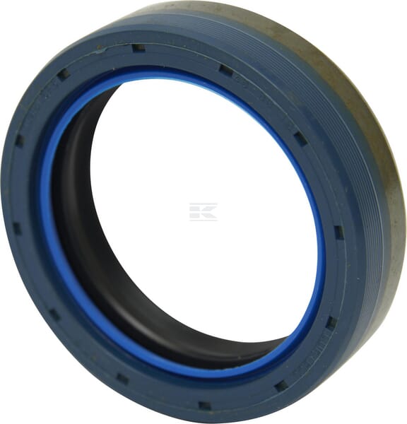 Dichtring