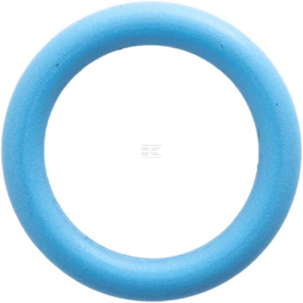 Dichtring