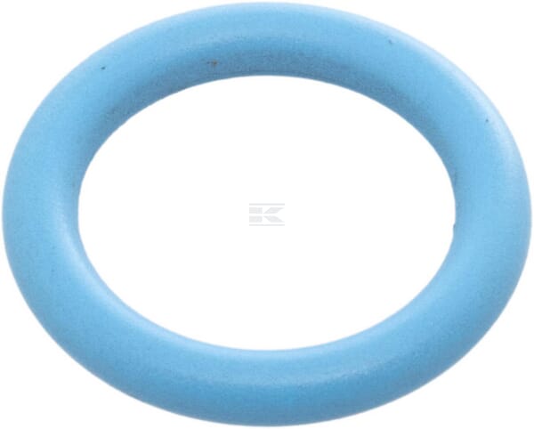 Dichtring