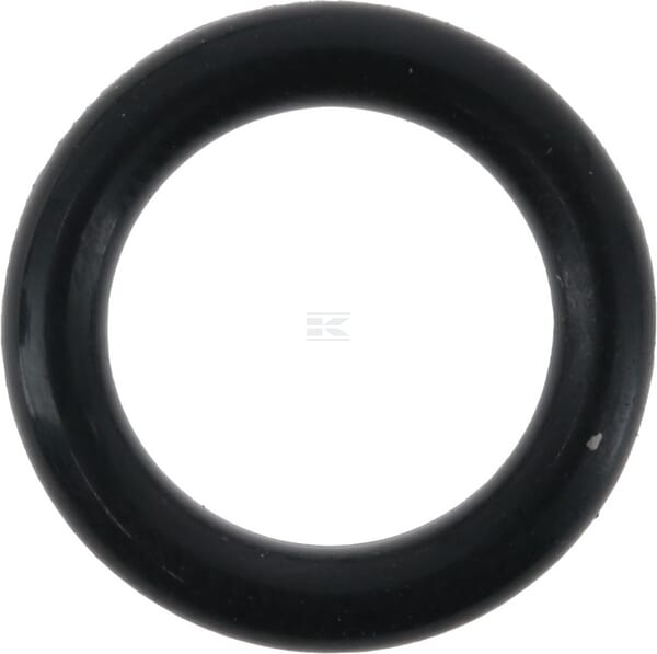 O-Ring