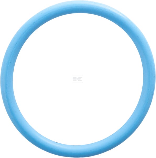 Dichtring