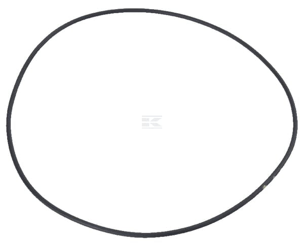 O-Ring Case-IH