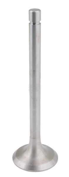 Einlassventil