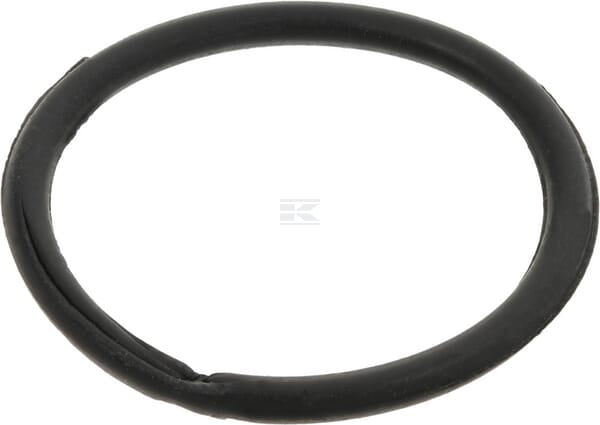 Hauptlagerring
