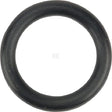 O-Ring 1a p12
