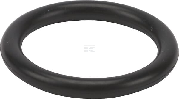 O-Ring 1a p16