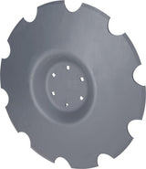 Scheibe
