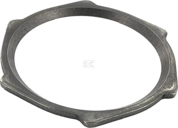 Dichtring (1861D2)