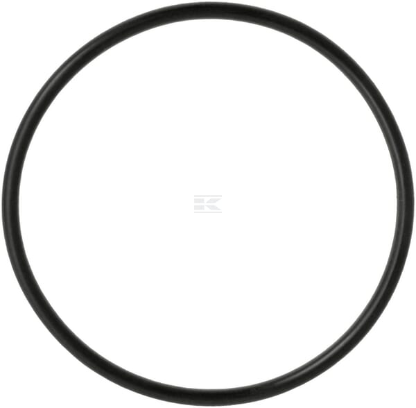 Dichtring