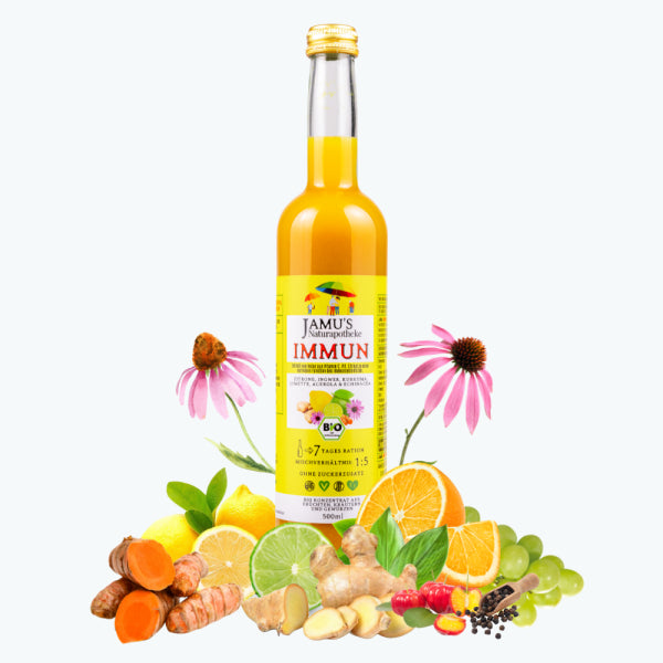 JAMU´s Ingwer Kurkuma Konzentrat