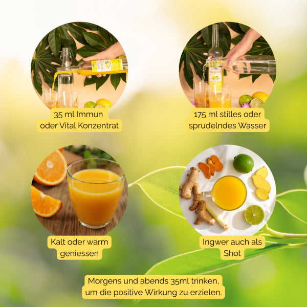 JAMU´s Ingwer Kurkuma Konzentrat