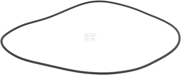O-Ring