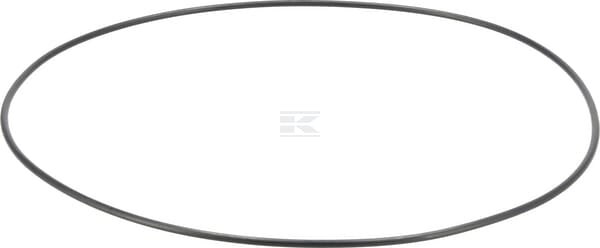 O-Ring