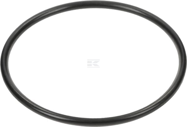 O-Ring