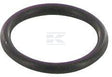 O-Ring Druckleiting Case-IH