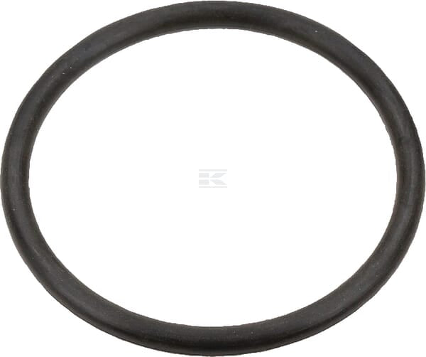 O-Ring Case-IH