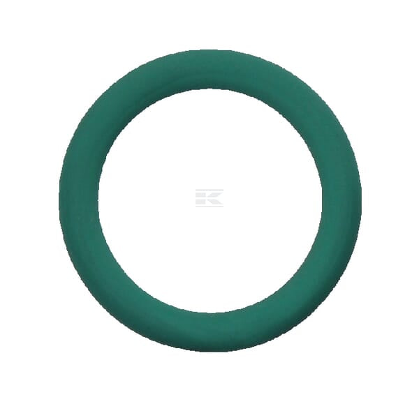 O-Ring Case-IH