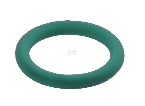 O-Ring Case-IH