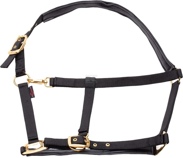 Halter Topline schwarz XFull