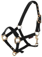 Fohlenhalsband TopLine schwarz