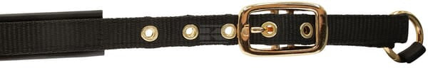 Fohlenhalsband TopLine schwarz