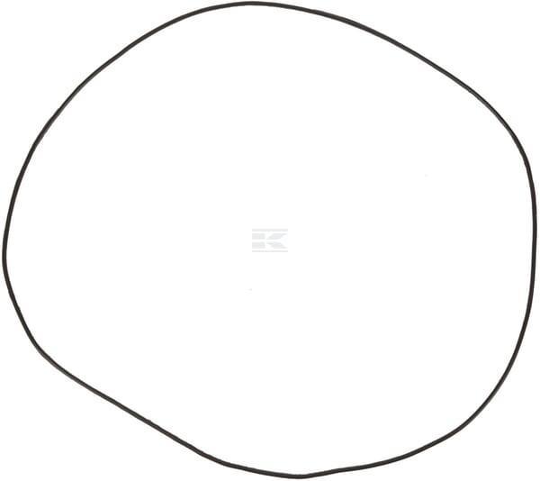 O-Ring