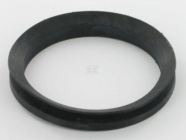 V-Ring