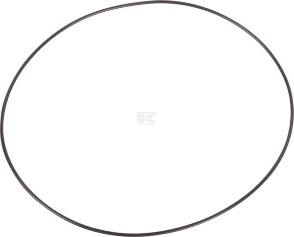 O-Ring