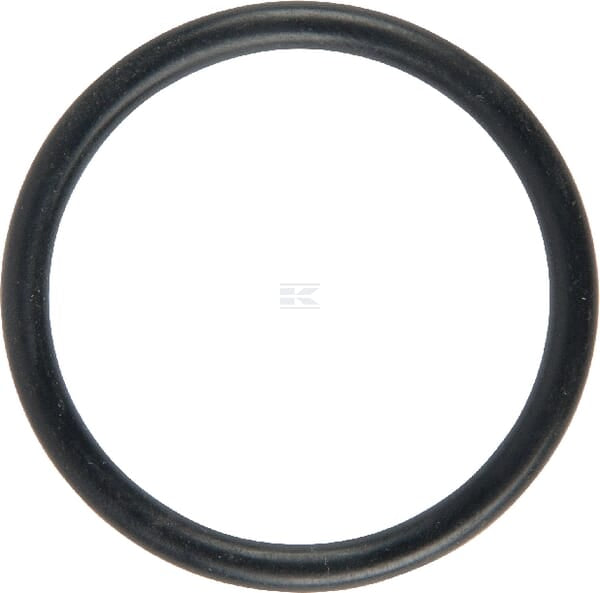 Ring 29,2x3