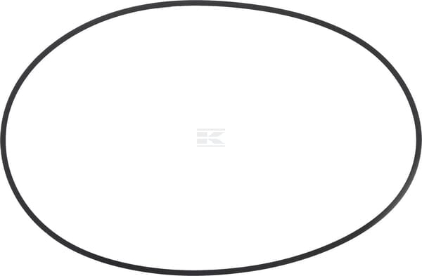 O-Ring Bremse