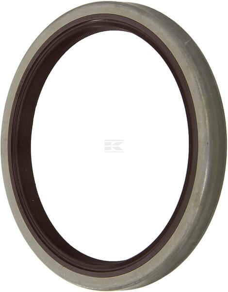 Dichtung B1VISLRS 110x135x13 FKM