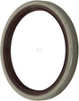 Dichtung B1VISLRS 110x135x13 FKM