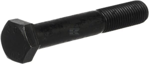 Schraube 16x100x2  10.9  TL Tortella
