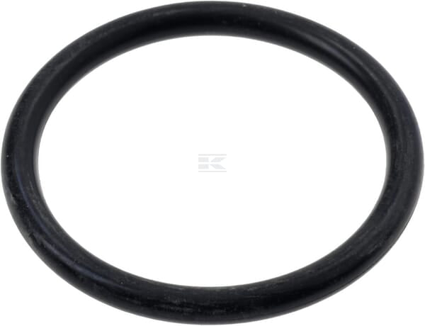 O-Ring