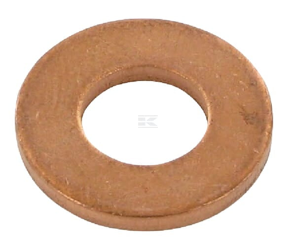 Dichtring