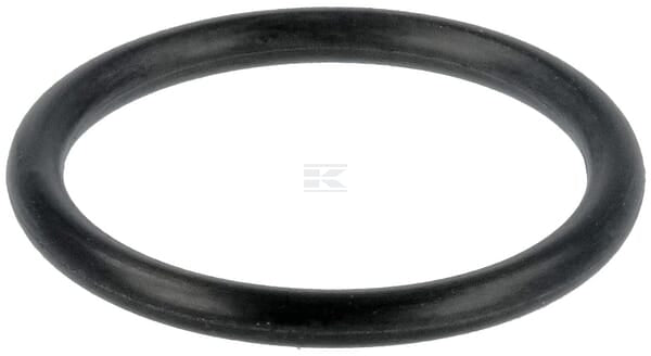 Düsenhalterungs-O-Ring