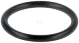 Düsenhalterungs-O-Ring