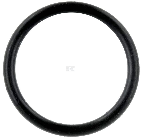Düsenhalterungs-O-Ring