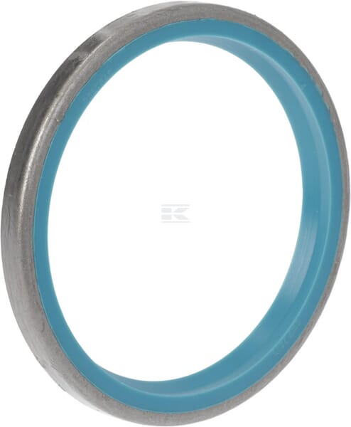 Dichtring